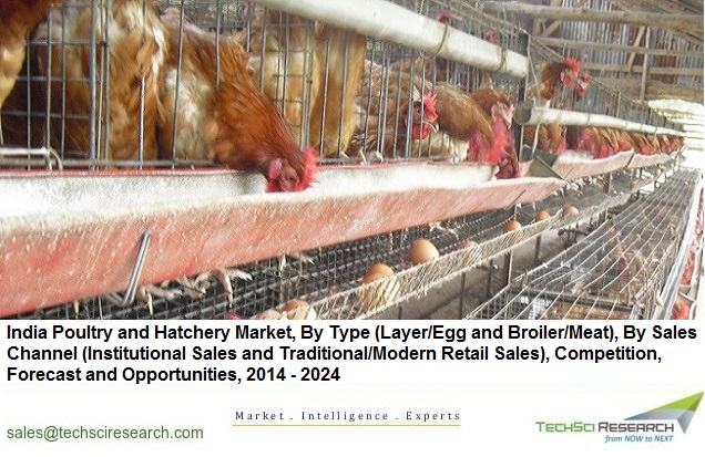 Poultry and Hatchery Market