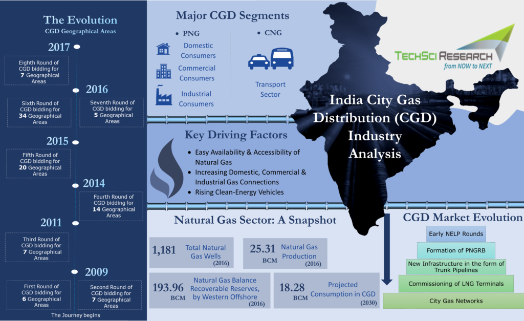 India city gas distribution market