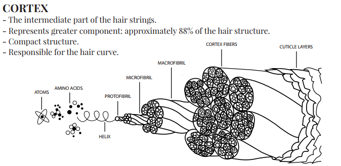Hair Straightener market