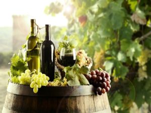 Global Organic Wine Market