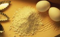 India Egg Powder Market 