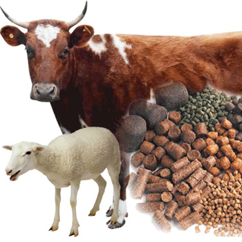 Animal Feed Dietary Fiber Market