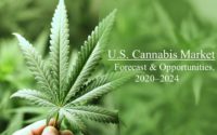 US Cannabis Market