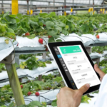 United States Smart Greenhouse Market
