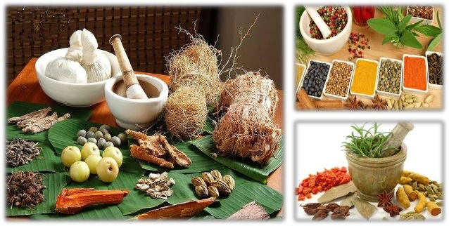 India Herbal Products Market