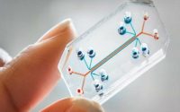 Global Microfluidics Market