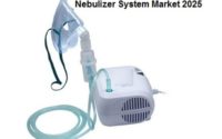 Nebulizer System Market