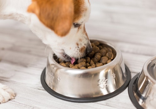 Australia-Pet-Food-Market - TechSci Blog