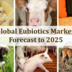 Eubiotics Market