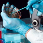 India Microbiology Reagents - TechSci Research