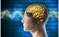 Central Nervous System Therapeutics Market - TechSci Research