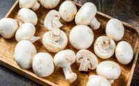 Mushroom Cultivation Market