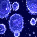 Cell Isolation Market - TechSci Research