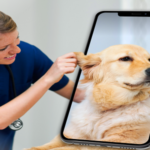 Veterinary Telehealth Market - TechSci Research