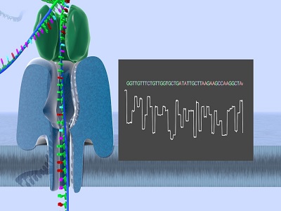 Nanopore Sequencing Market to Grow at Robust Rate of 15.29% by 2026