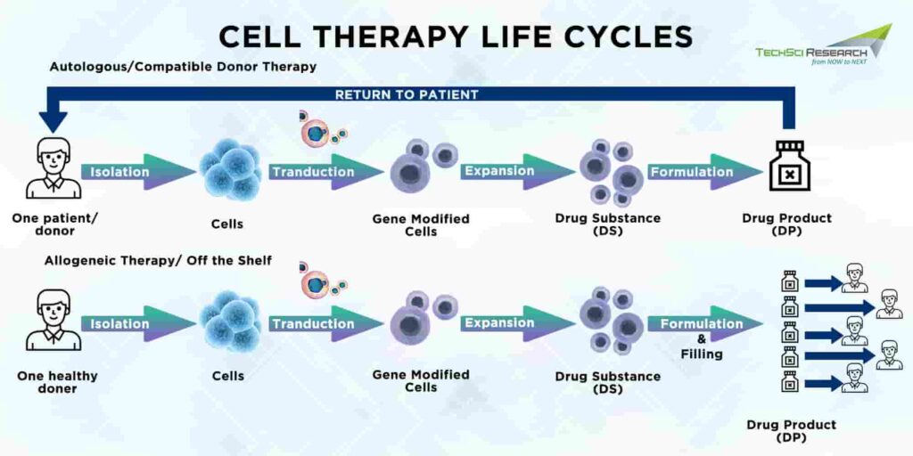 Cell Therapies Life Cycle