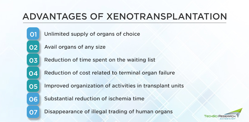 Advantages of Xenotransplantation