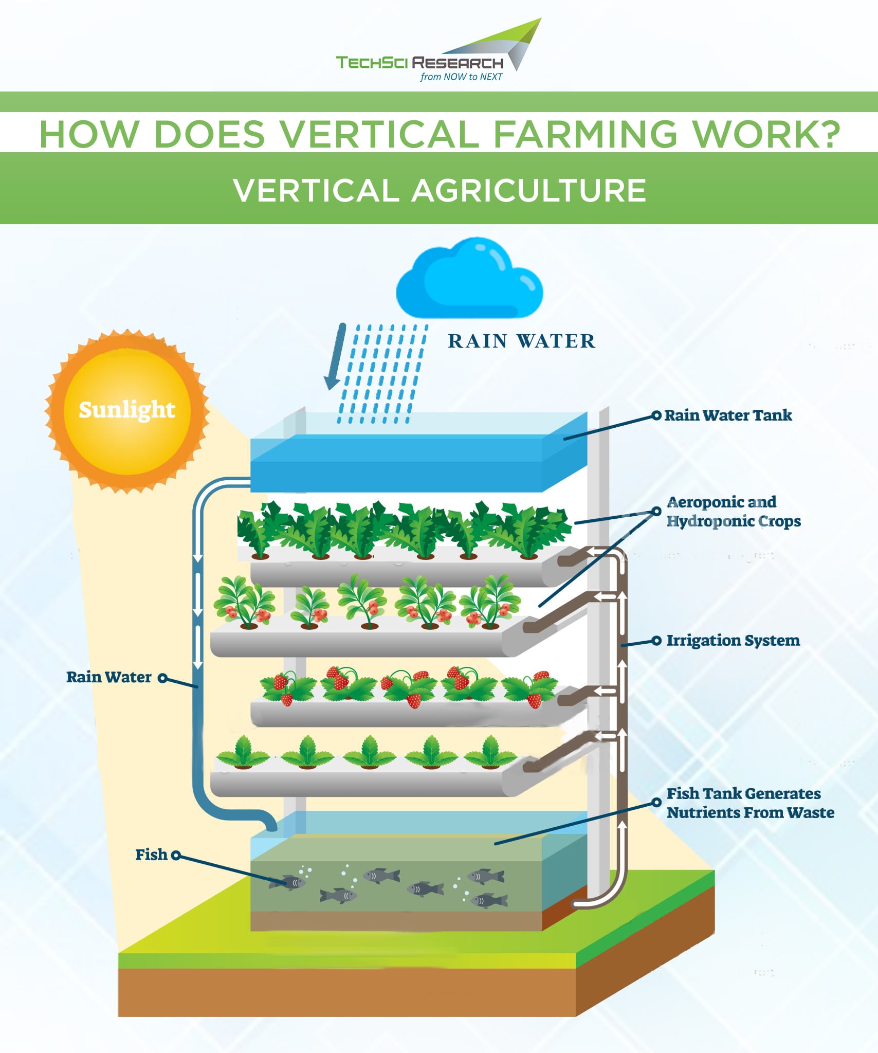 Is Vertical Farming the Future of Urban Agriculture?